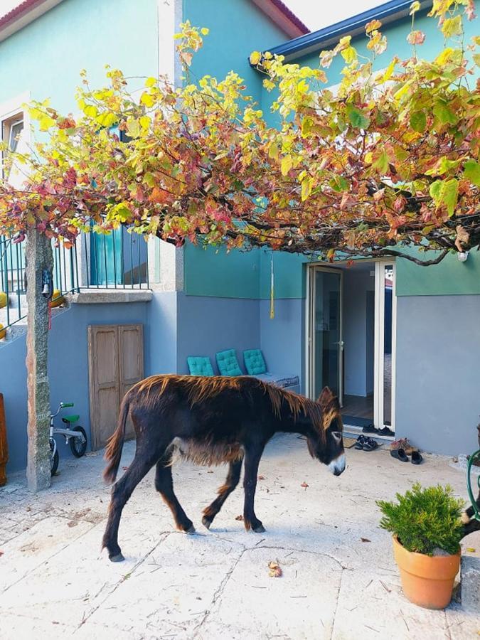 Вілла Quinta Da Quinhas Віла-Прая-де-Анкора Екстер'єр фото