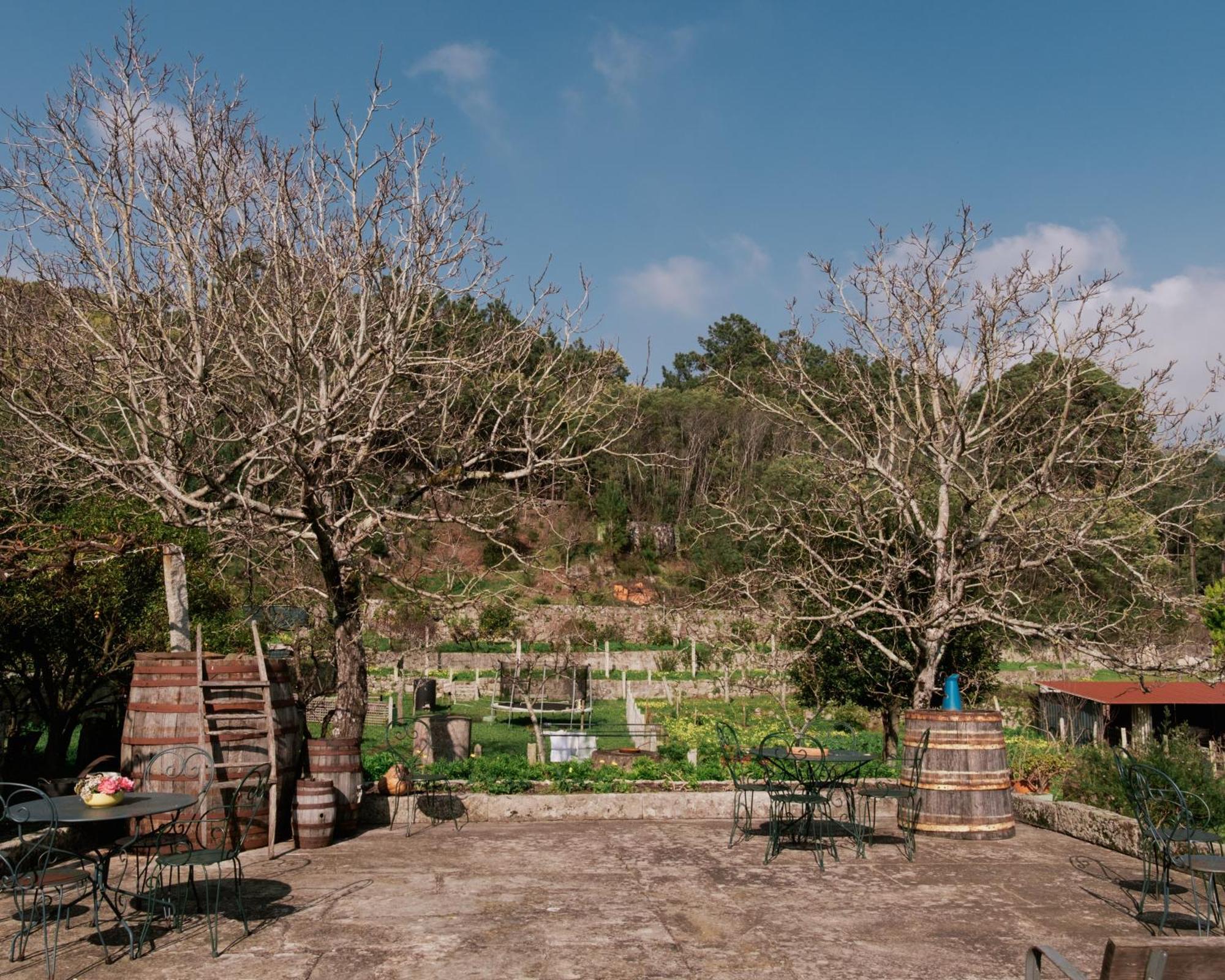 Вілла Quinta Da Quinhas Віла-Прая-де-Анкора Екстер'єр фото